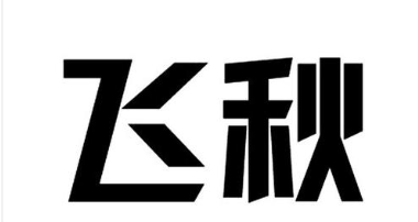 飞秋可以在局域网内进行文本语音视频等多种形式的通信