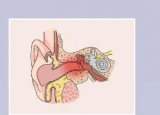 中耳炎的症状与治疗