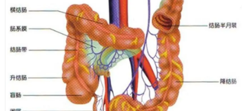 慢性结肠炎症状