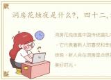 洞房花烛夜是什么?，四十二,洞房花烛