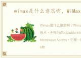 wimax是什么意思啊，WiMax是什么