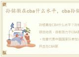 孙铭徽在cba什么水平，cba孙铭徽哪里人