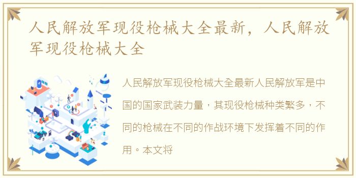 人民解放军现役枪械大全最新，人民解放军现役枪械大全