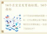 14个月宝宝发育指标图，14个月宝宝发育指标