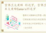 雪佛兰大黄蜂 科迈罗，雪佛兰传奇性能跑车大黄蜂Camaro科迈罗