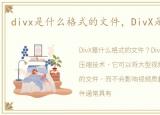 divx是什么格式的文件，DivX是什么格式