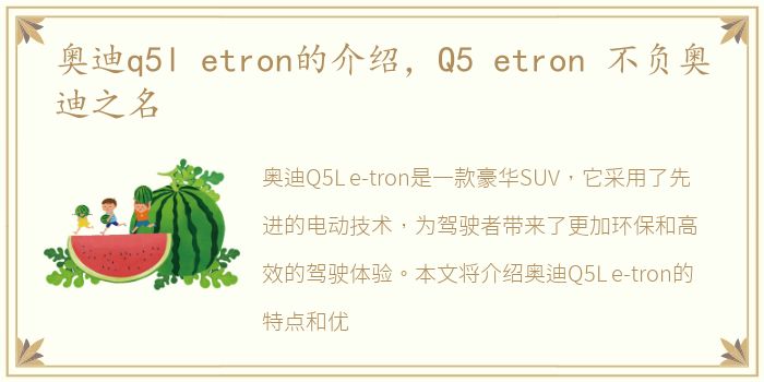 奥迪q5l etron的介绍，Q5 etron 不负奥迪之名