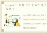 voto是什么牌子中文名叫什么，voto是什么牌子