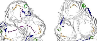 科学家揭开抗生素耐药性的根源