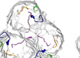 科学家揭开抗生素耐药性的根源