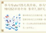 雅马哈ybz125天戟价格，雅马哈经典天戟 YB125Z详情介绍 售价7,207元