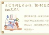 曼巴绿调色的介绍，SK-TO曼巴绿改色膜和tpu熏黑灯