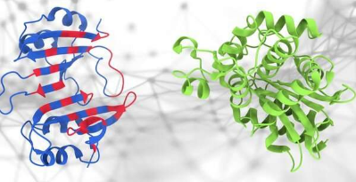 一种用于预测蛋白质相互作用的新AI工具