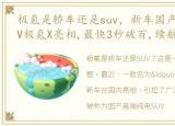 极氪是轿车还是suv，新车国产高端纯电SUV极氪X亮相,最快3秒破百,续航560公里