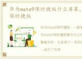 华为mate9保时捷版什么屏幕，华为Mate9保时捷版