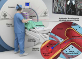 用于医学成像的超高磁场磁导丝转向