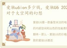 爱驰u6ion多少钱，爱驰U6 2022款,满足你对于大空间的幻想