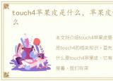 touch4苹果皮是什么，苹果皮touch4是什么