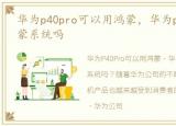 华为p40pro可以用鸿蒙，华为p40可以用鸿蒙系统吗