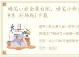 蜡笔小新全集台配，蜡笔小新资源(台配1-9季 剧场版)下载