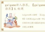 galgame新人推荐，【galgame精细介绍与推荐】6.妹调