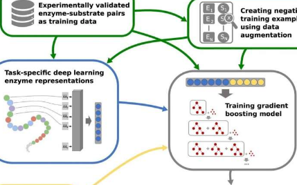 人工智能预测酶的功能