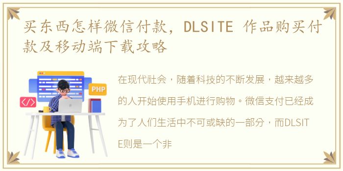 买东西怎样微信付款，DLSITE 作品购买付款及移动端下载攻略