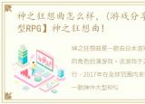 神之狂想曲怎么样，(游戏分享)【神作大型RPG】神之狂想曲!