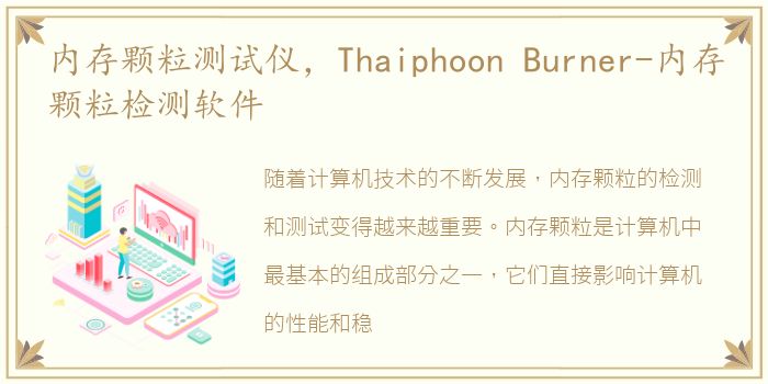 内存颗粒测试仪，Thaiphoon Burner-内存颗粒检测软件