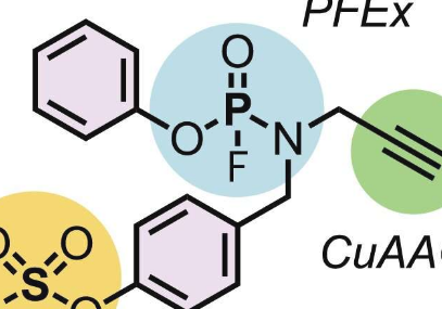 研究人员利用氟化磷交换点击新分子