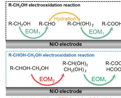 揭示NiO电催化剂在醇电氧化反应中的作用