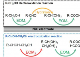 揭示NiO电催化剂在醇电氧化反应中的作用