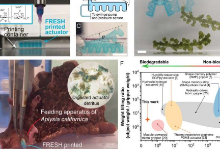 团队打印基于海藻的可生物降解执行器