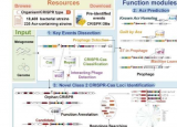 团队开发具有大数据可视化平台的CRISPR工具用于基因组编辑和修改