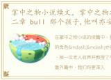 掌中之物小说续文，掌中之物之番外篇,第二章 bull 那个孩子,他叫亦安