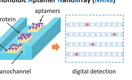 缩小精准医学的差距纳米流体适体纳米阵列测量单个蛋白质