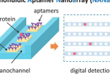 缩小精准医学的差距纳米流体适体纳米阵列测量单个蛋白质