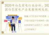 2020年白色家电行业分析，2023-2028年中国白色家电产业发展预测及投资分析报告