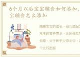 6个月以后宝宝辅食如何添加，6个月后宝宝辅食怎么添加