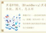 黑莓9700，(BlackBerry)黑莓9700报价、参数、图片、怎么样