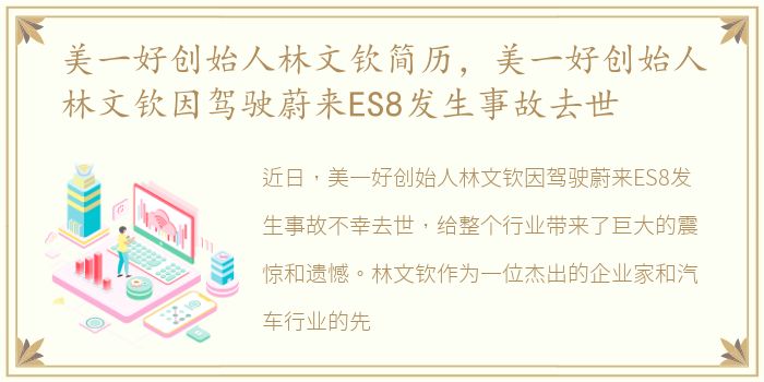 美一好创始人林文钦简历，美一好创始人林文钦因驾驶蔚来ES8发生事故去世