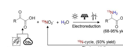 研究为15N氨基酸的绿色合成提供策略