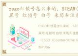 csgo红锁号怎么来的，STEAM(CSGO,PUBG)黑号 红锁号 白号 来历和注意事项