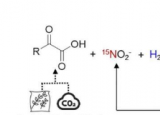 研究为15N氨基酸的绿色合成提供策略