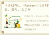 泛泰A870L，(Pantech)泛泰A870L报价、参数、图片、怎么样