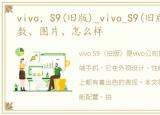 vivo，S9(旧版)_vivo_S9(旧版)报价、参数、图片、怎么样