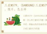 三星W579，(SAMSUNG)三星W579报价、参数、图片、怎么样