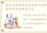 枸杞子的作用与功效是什么样的，枸杞子的作用与功效是什么