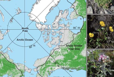 科学家揭开北极植物群的进化史