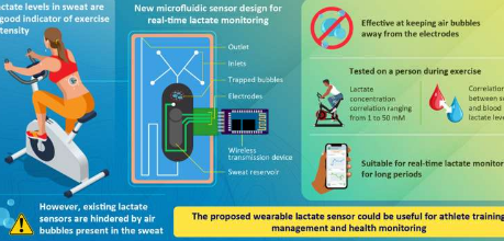 科学家开发出创新的可穿戴传感器用于测量运动期间的汗液乳酸水平